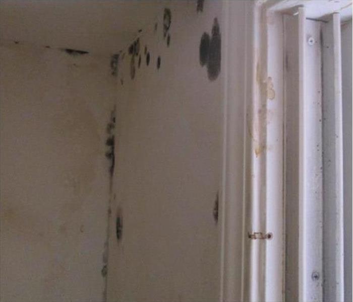 white walls of a home covered with black spots of mold, mold growth inside a home